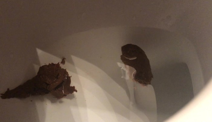 Huge Long Enormous Turd from Female Asshole