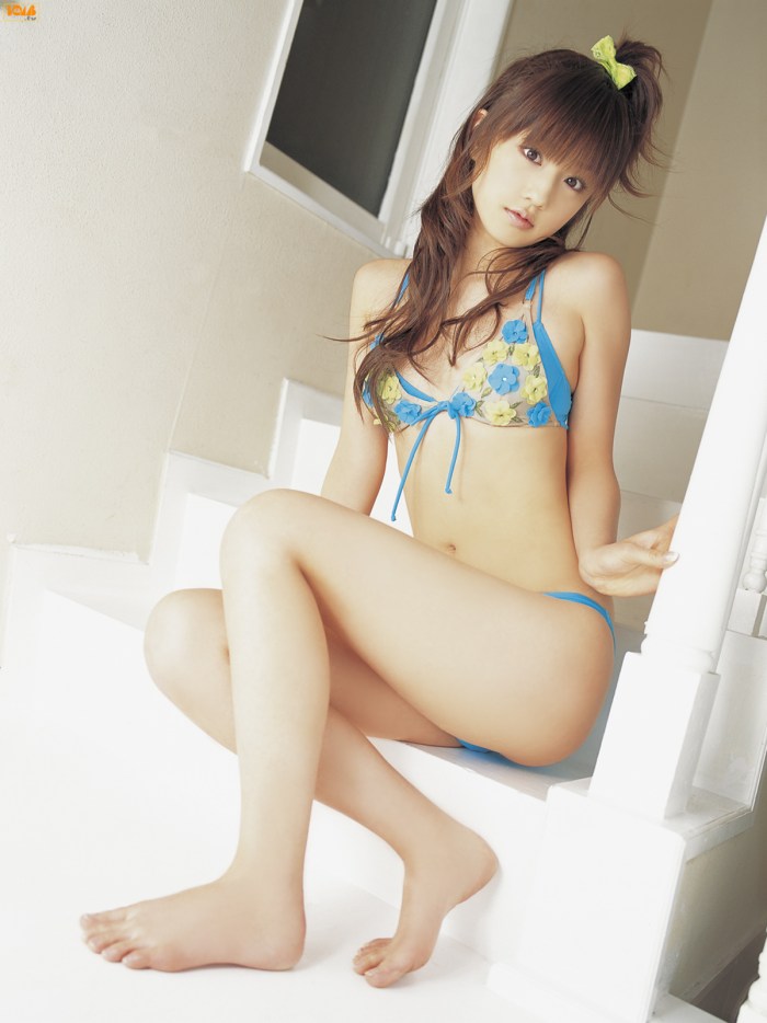 Yoko poppies are hot