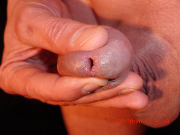 Porn with a huge member