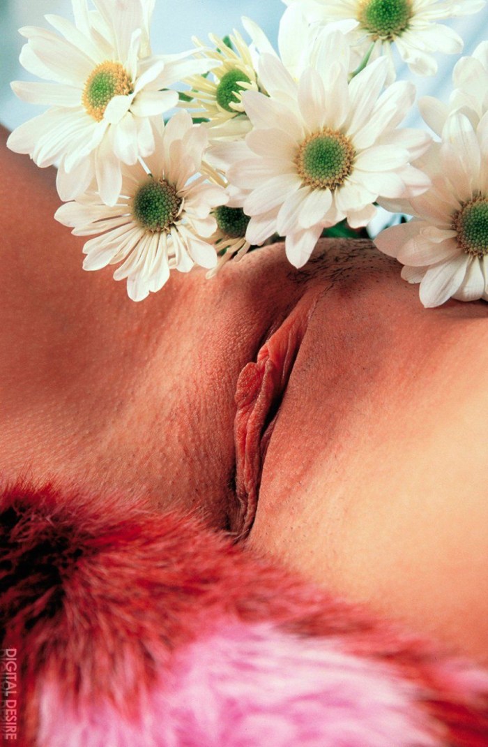 Chamomiles on a bare pubis