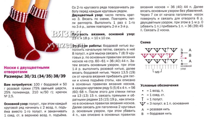 Infinite summer Alice 18