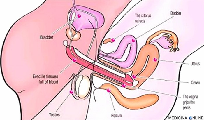 Beautiful fucking fuck