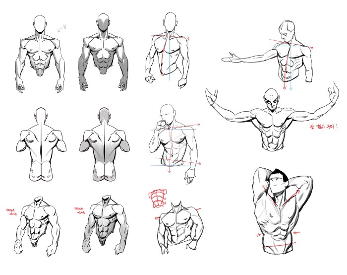 Anime reference anime body