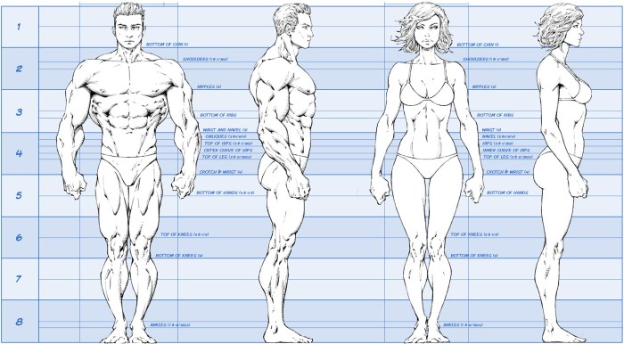 Muscles of the pelvis anatomyatab