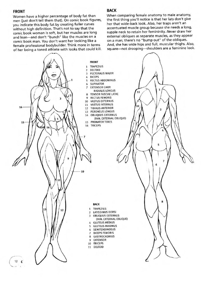 Female anatomy video real