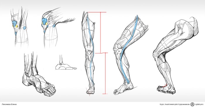 The back is schematic