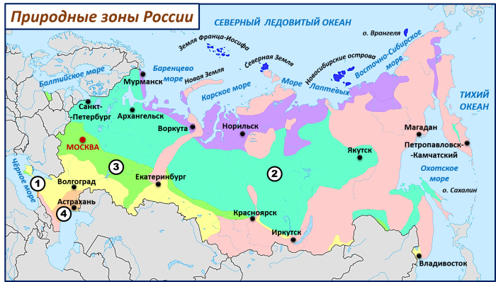 Map of natural zones of the Russian Federation grade 8