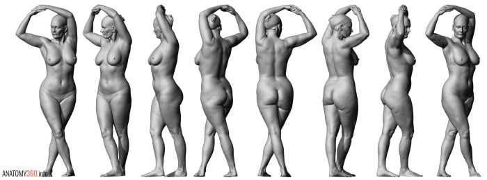 Naked body of an anatomy woman