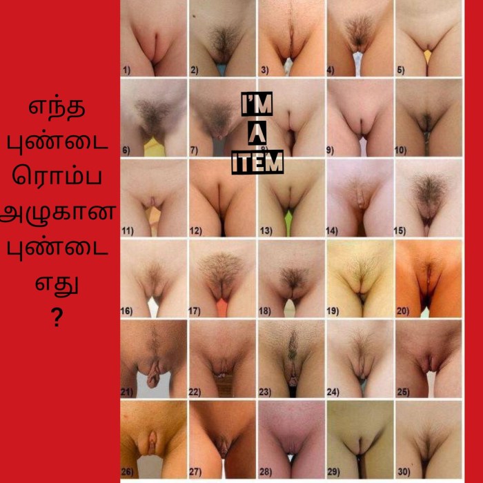 Various forms of vagina