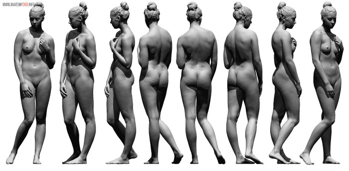 Female nudity reference