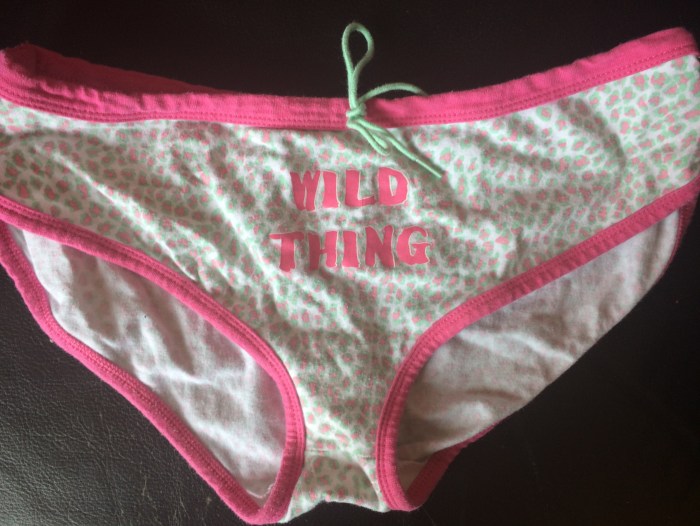 Dirty underwear female