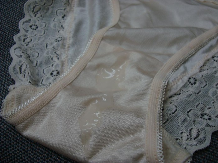 Wet Panties Free version of the application