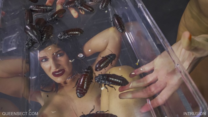 Insects in the pussy BDSM