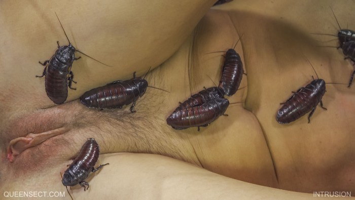 Toilet yershik in vagina