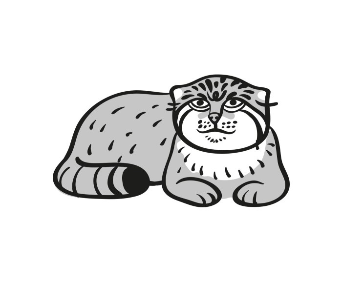 Wild Cat Manul Coloring