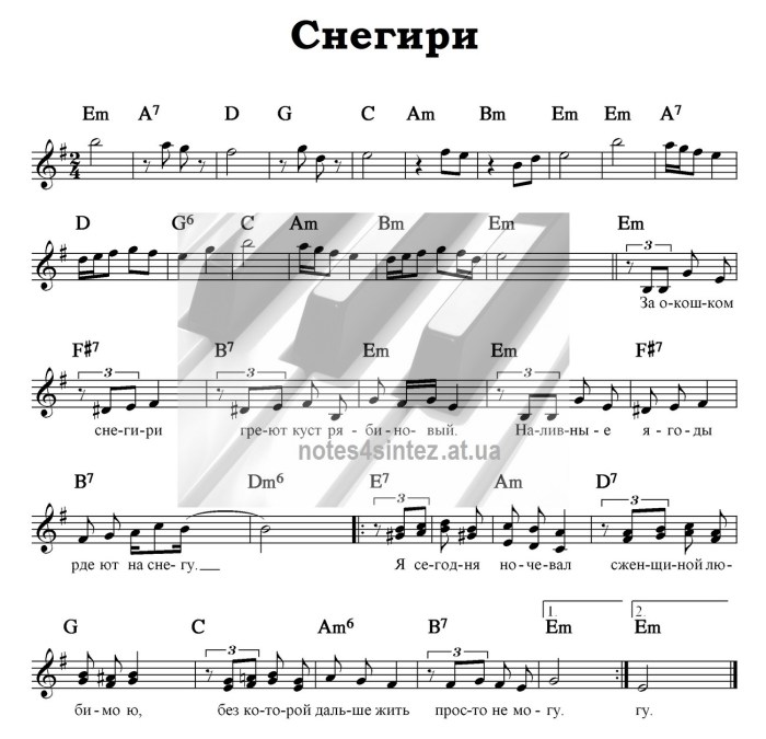 Amber Jane Secretary