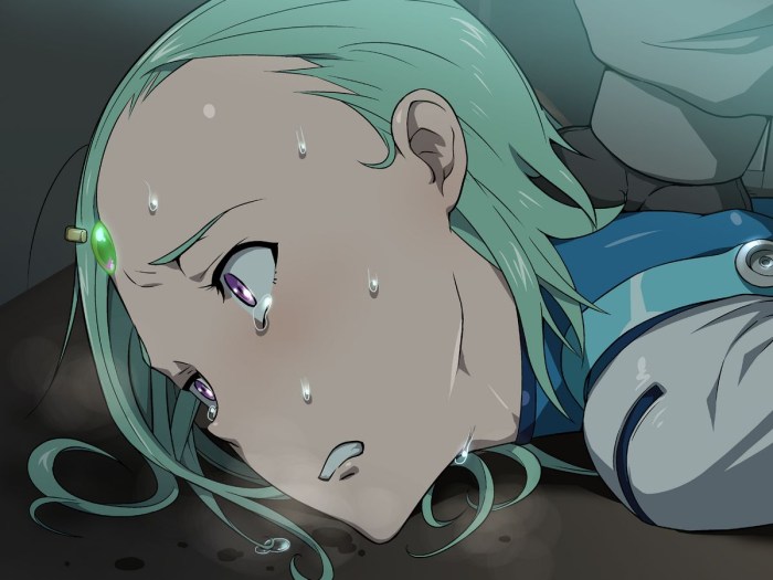 Eureka 7 animated series Hentai