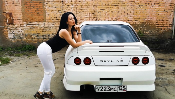 Nissan Skyline R33 Nastya Fog