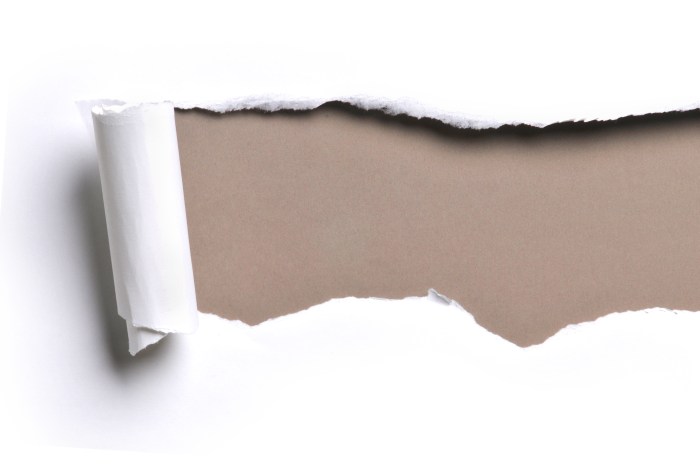 Prism is a refraction of color