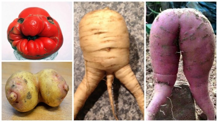 Funny vegetables and fruits