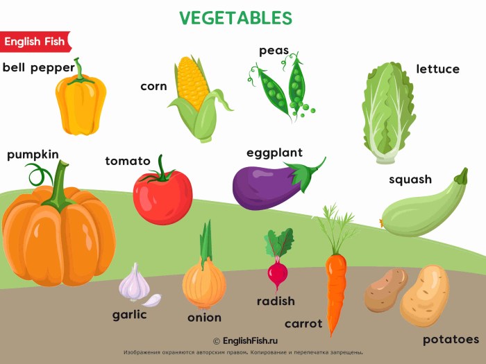 Vegetables in English