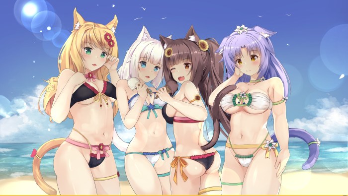 The right of the vanilla ecchi