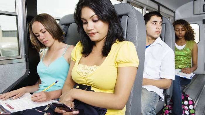 Voyeurism Japanese on a train