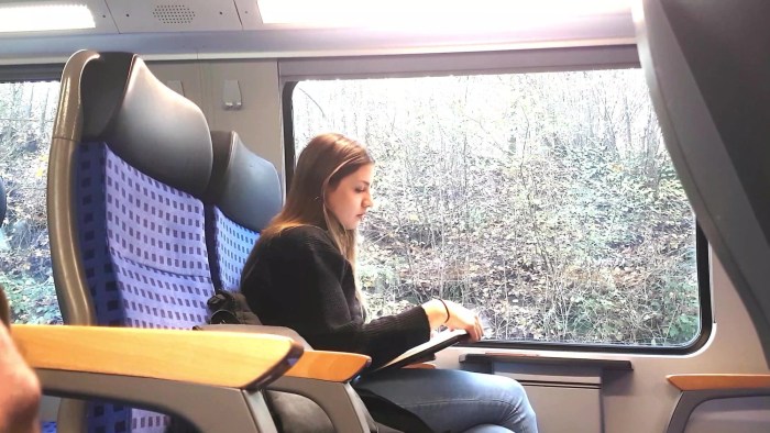 Flash in Train Video