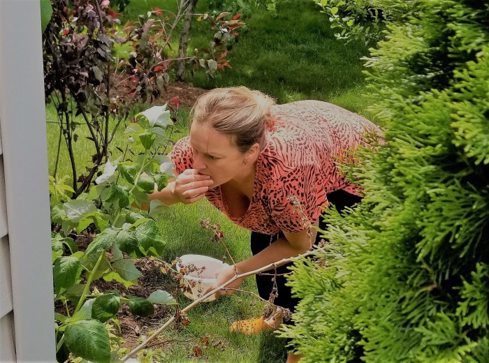 A neighbor in the garden