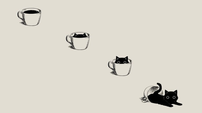 Kitten minimalism