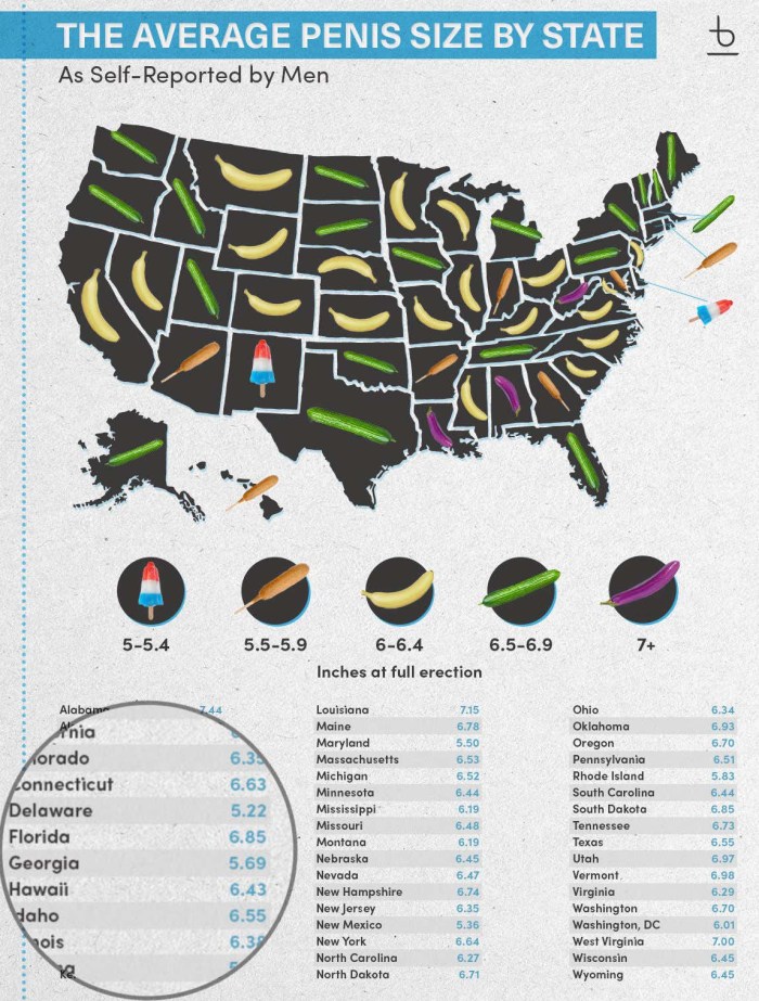 Male Urine Channel Anatomy Latin