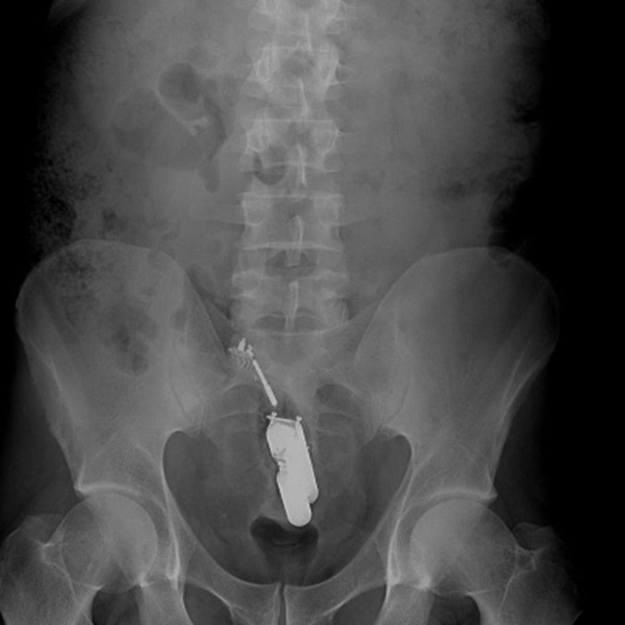 Want to be dominated