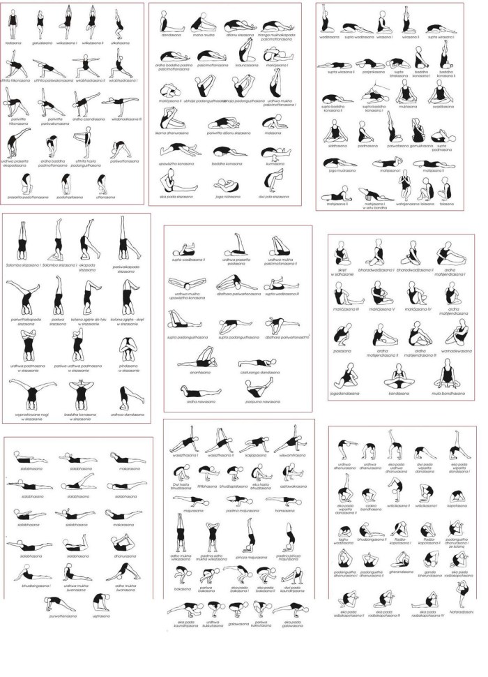 Hatha yoga scheme of exercises