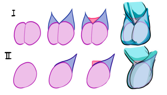 NSFW drawing lessons