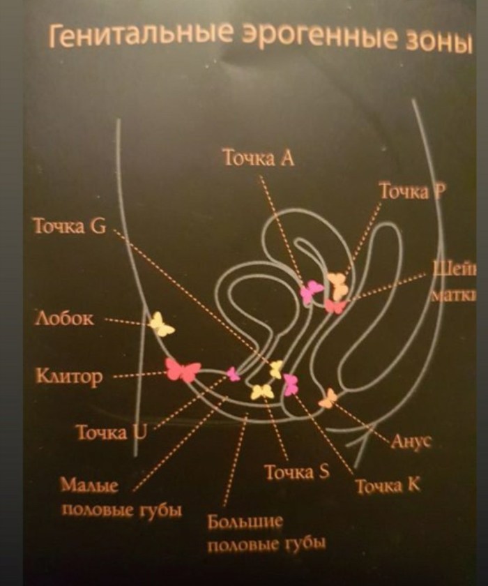 A valuable zone in women