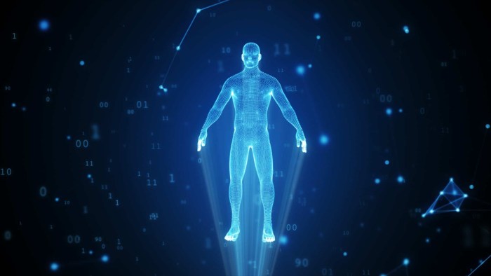 Harogram of a full -length person