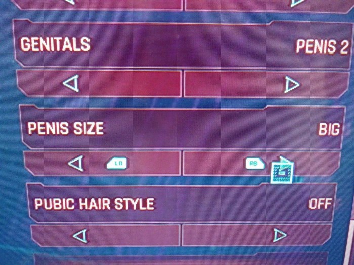 Castomization of the penis in cyberpunk