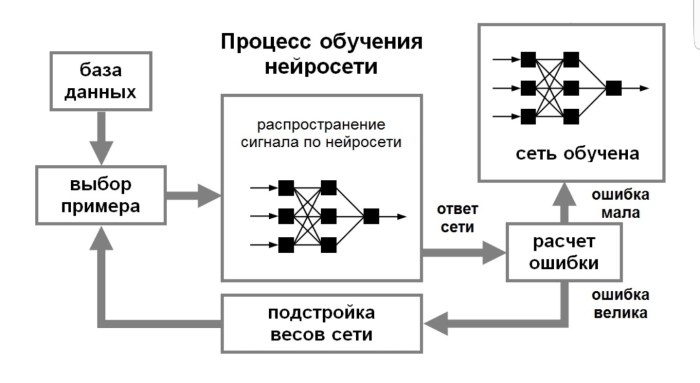 Classification of artificial neural networks