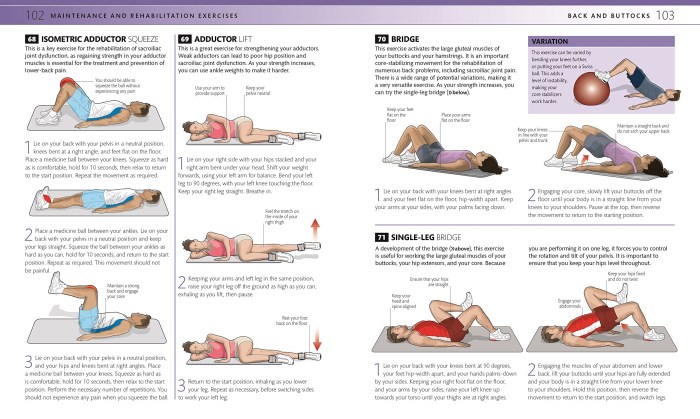Low Back Pain Exercesses
