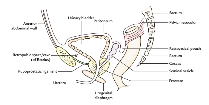 Teaching Feeling Sylvia adult