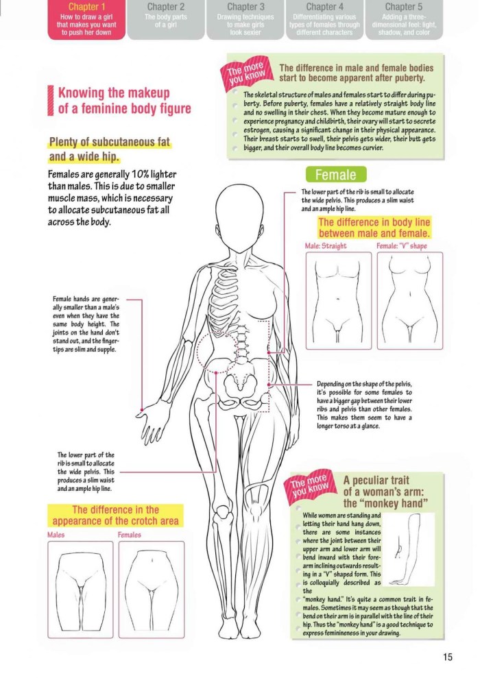 Sports hall in a cartoon style