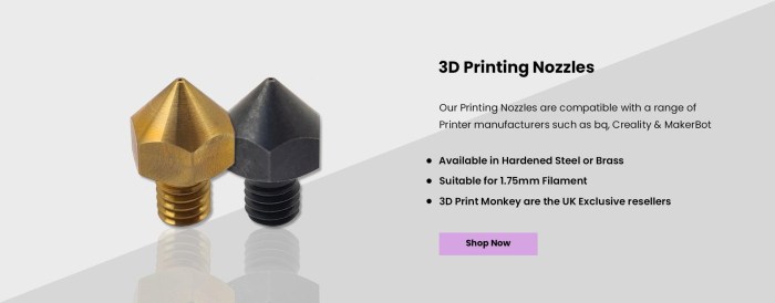 Denise Richards Real Boys