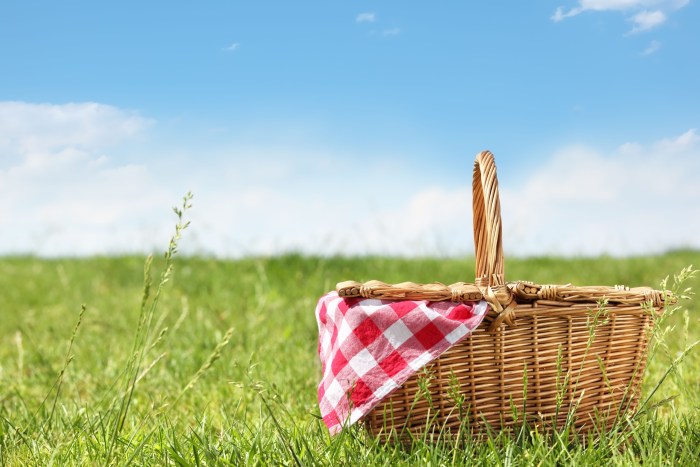 Empty basket in nature