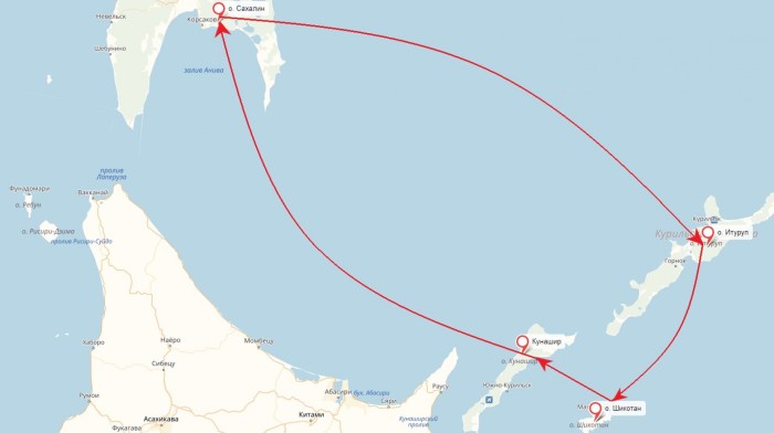 Summer picnic with pizza