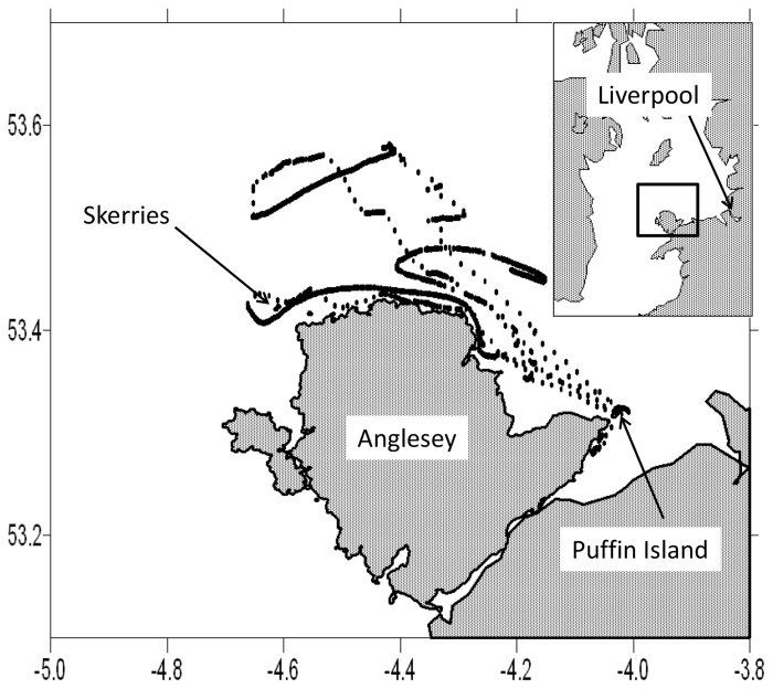 Belfast agreement 1998