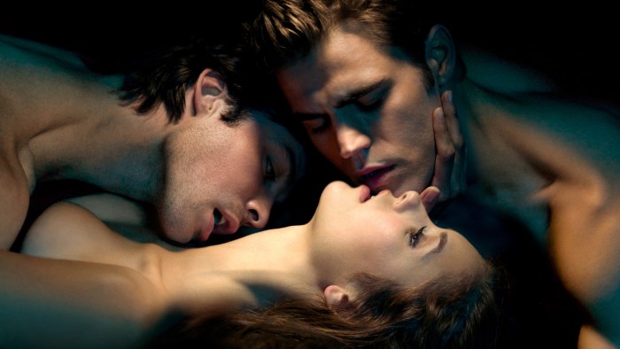 Stefan Elena and Damon in bed