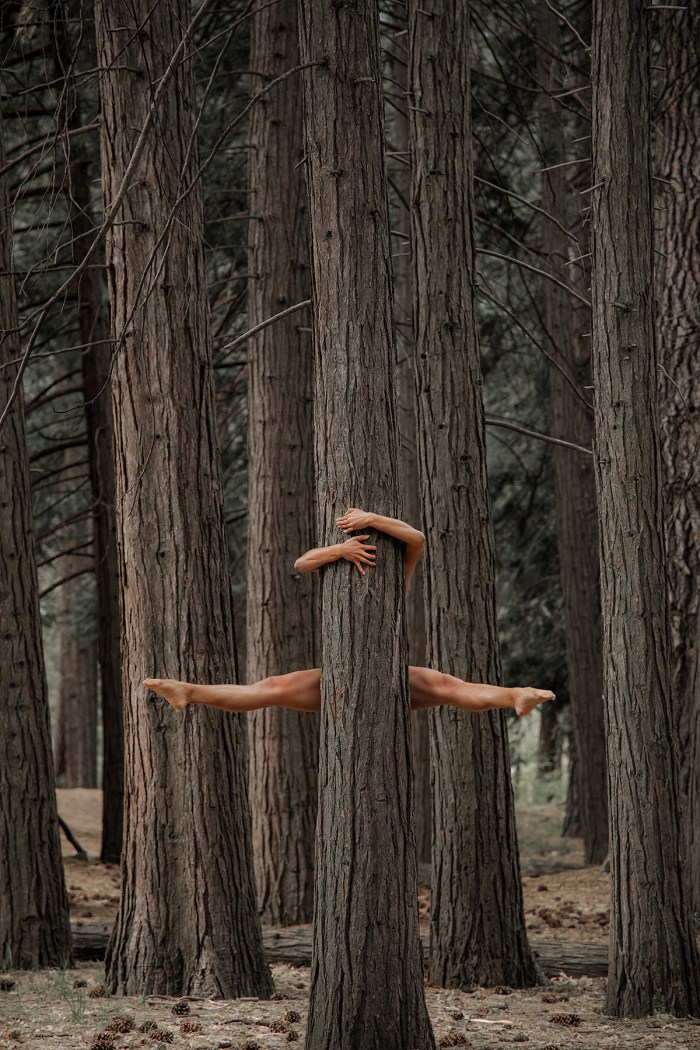 A girl attached to a tree