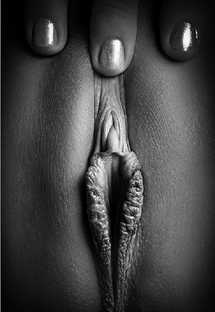 Artistic photos of the vagina