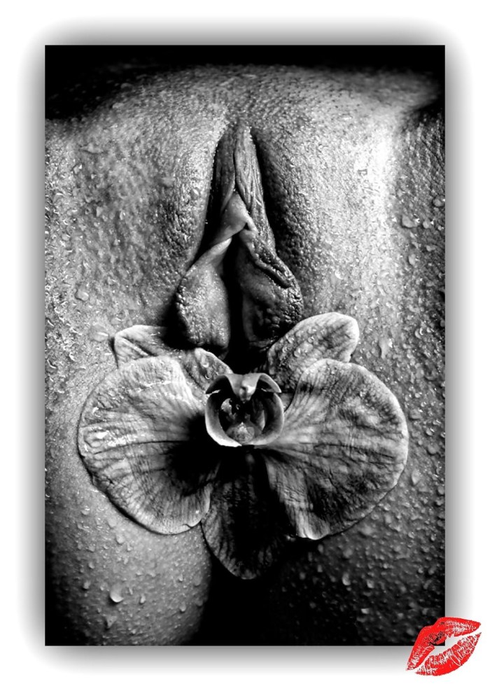 Vlad Gansovsky photographer