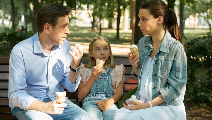 Shadows of the old cabinet series 2022